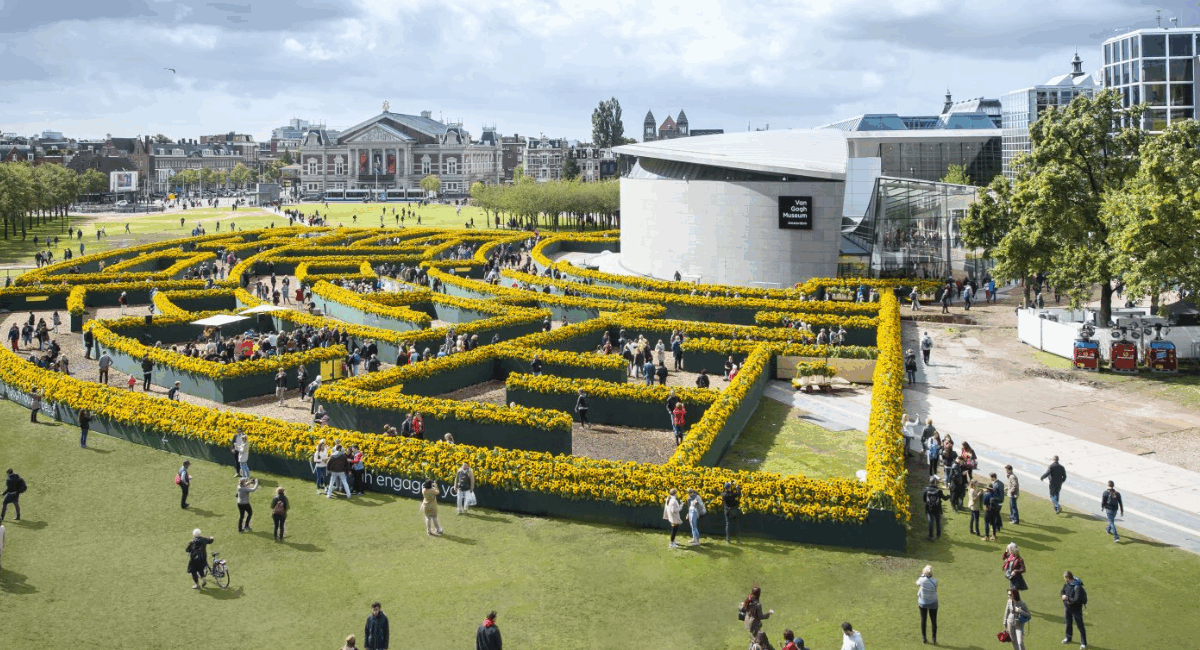 Zonnebloemenlabyrint op het museumplein ter gelegenheid van de opening van het entreegebouw van het Van Gogh Museum