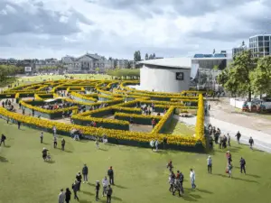 Zonnebloemenlabyrint op het museumplein ter gelegenheid van de opening van het entreegebouw van het Van Gogh Museum